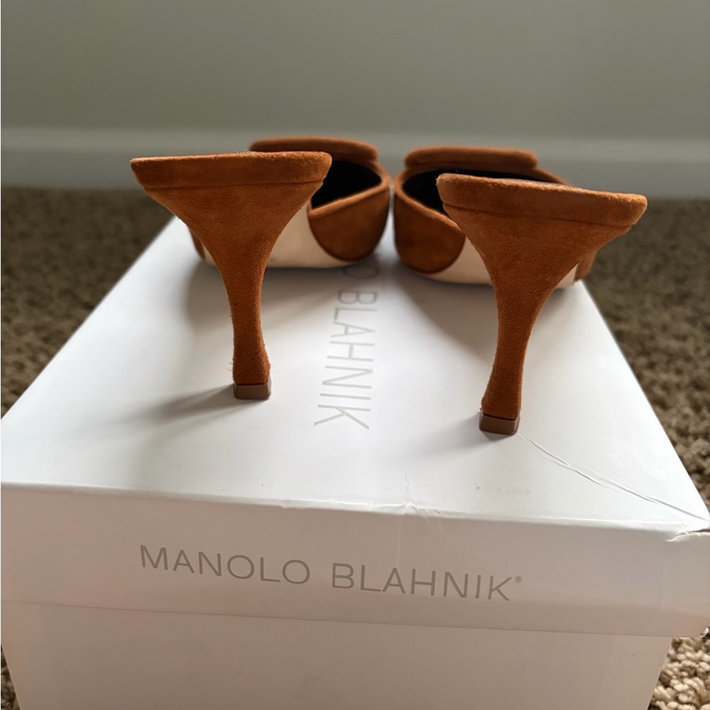 Manolo Blahnik Suede Pointed Mule in Rust Brown - Picture 4 of 9